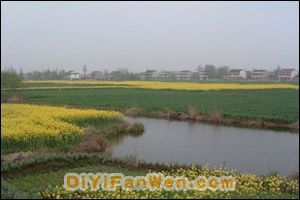 長青沙島圖片