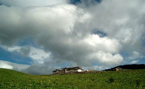 雲南氂牛坪風光圖片
