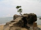 鼓浪環島路