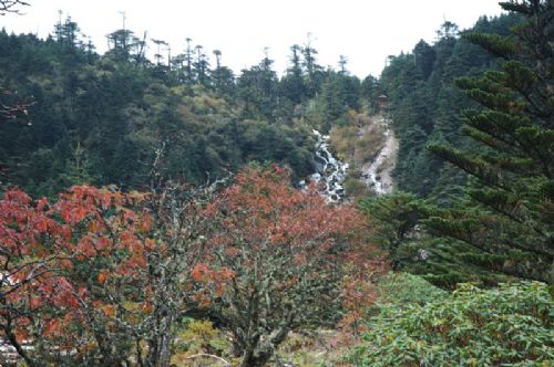 四川螺髻山圖片
