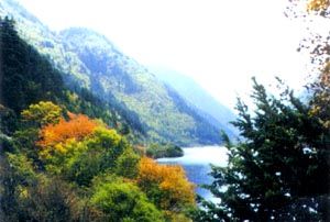 甘山森林公園圖片
