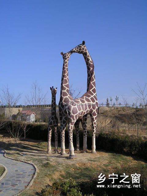 北山公園圖片