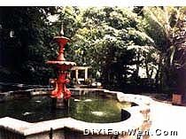二龍喉公園圖片