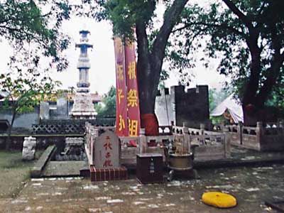 洪洞大槐樹圖片