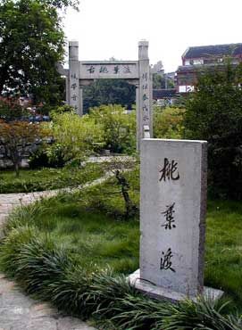 桃葉渡圖片