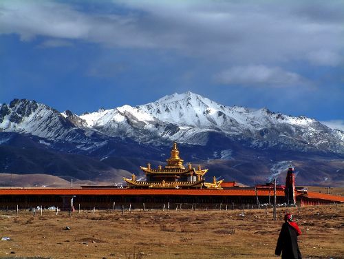 康定雅拉雪山下的塔公寺圖片