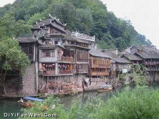 鳳凰圖片