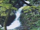 虎塘溝