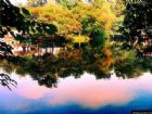 花溪公園