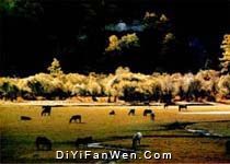 沖古寺圖片