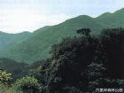 六里坪森林公園