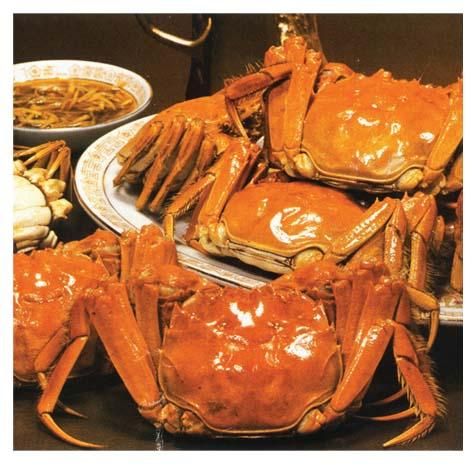 陽澄湖圖片
