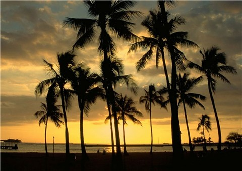 夏威夷風光圖片