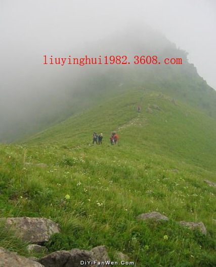 大霧嶺圖片