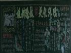 植樹節黑板報：樹苗
