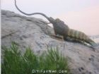 連島旅遊度假區