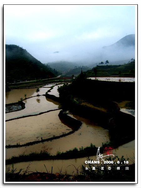 永嘉名岙梯田圖片