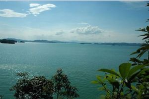 萬綠湖圖片