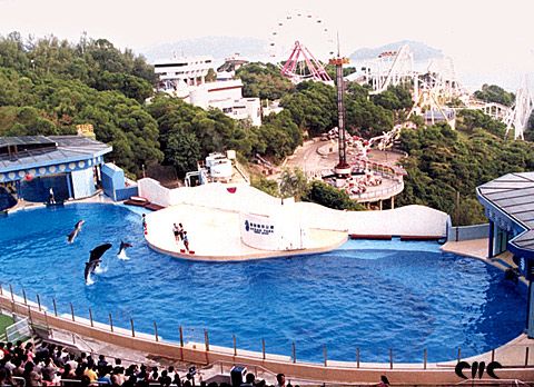 香港海洋公園圖片