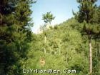 天門山