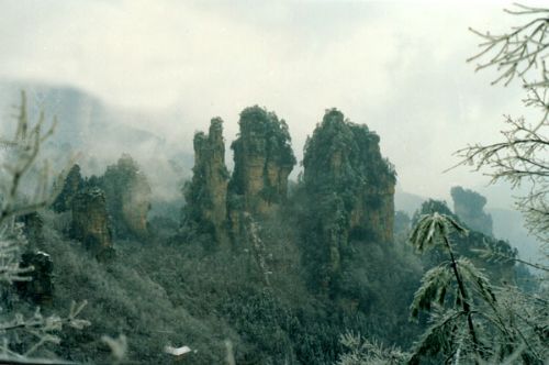 天子山風情圖片