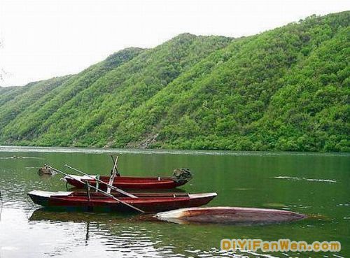 遼寧蒲石河風光圖片