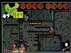 植樹節黑板報：銀杉