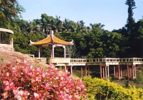 湖光岩圖片