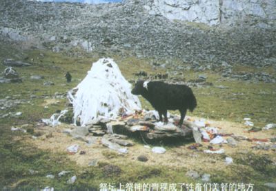 拉母拉錯湖圖片