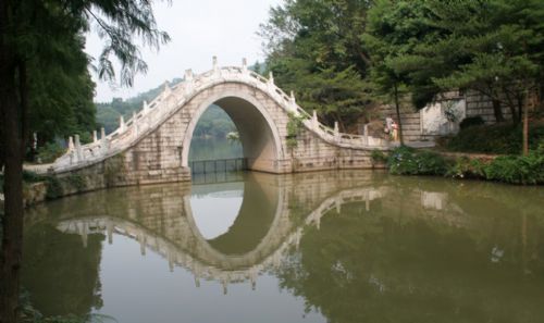 深圳仙湖植物園圖片