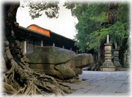 開元寺圖片