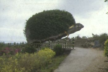 關山圖片