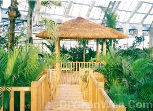 天津熱帶植物觀光園圖片