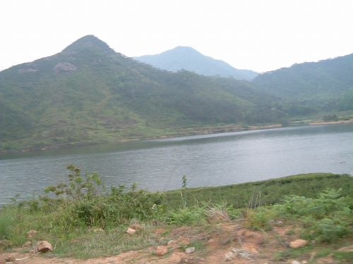 三門灣蛇蟠島景區圖片