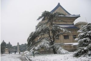 中山陵風景區圖片