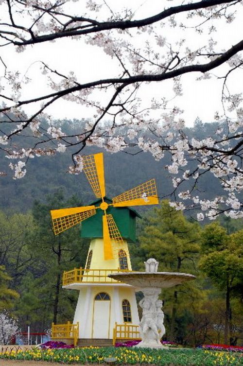 杭州太子灣公園圖片