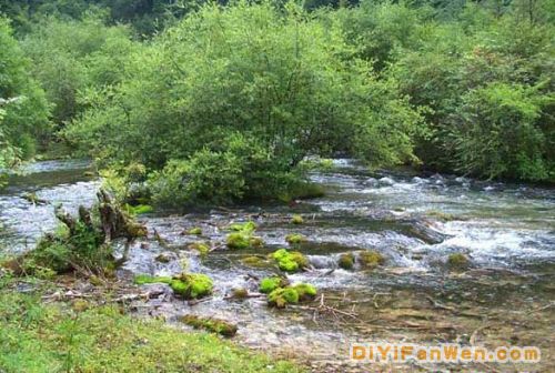 四川九寨溝圖片