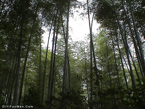 濮塘風景區圖片