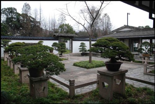 上海植物園圖片