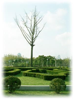 世紀公園圖片