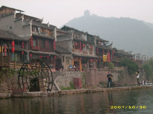 鳳凰風情圖片