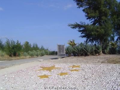 西沙群島東島圖片