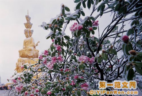 峨眉山圖片