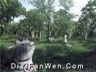 孔林