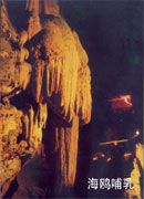 山東地下大峽谷旅遊區圖片