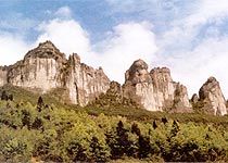 金佛山圖片