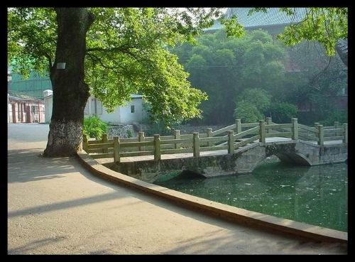 湖南嶽麓山圖片