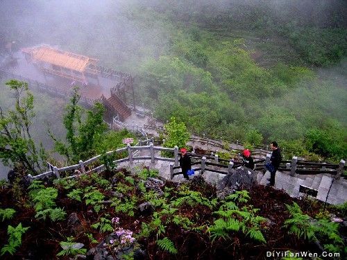 大石圍天坑圖片