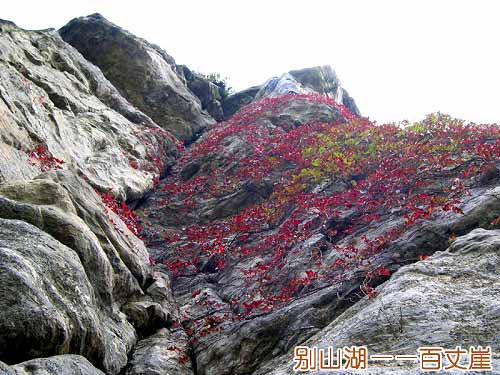 大別山主峰景區