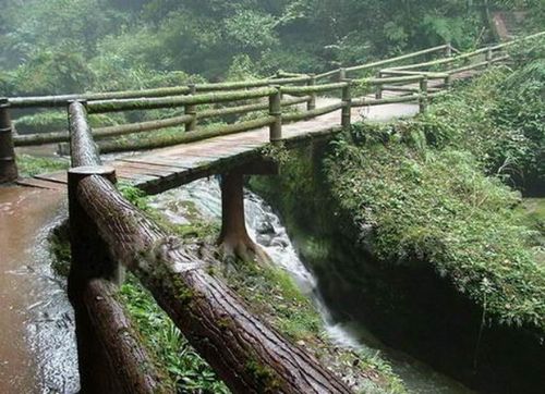 四川碧峰峽圖片